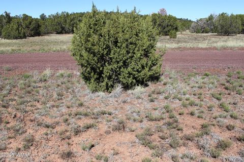 Tiny photo for 22 Co Rd 3191, Vernon, AZ 85940 (MLS # 258350)