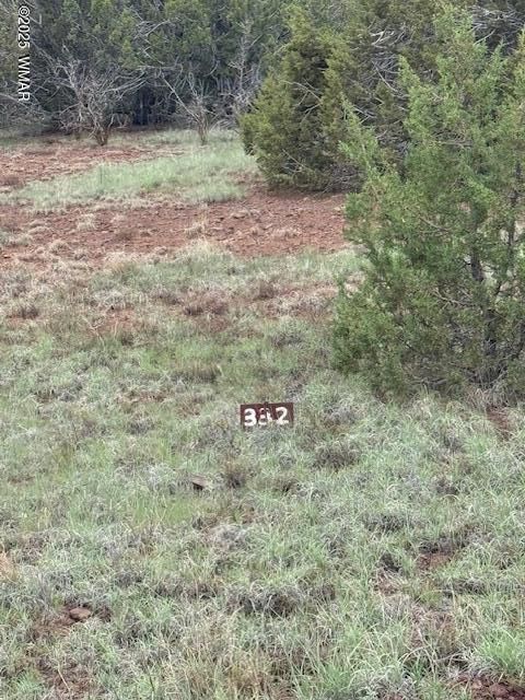 Tiny photo for 22 Co Rd 3191, Vernon, AZ 85940 (MLS # 258350)