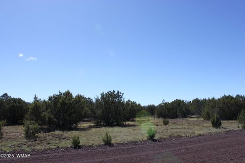 Tiny photo for 22 Co Rd 3191, Vernon, AZ 85940 (MLS # 258350)