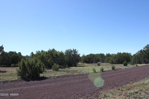 Tiny photo for 22 Co Rd 3191, Vernon, AZ 85940 (MLS # 258350)