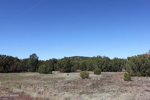 Photo of 22 Co Rd 3191, Vernon, AZ 85940 (MLS # 258350)