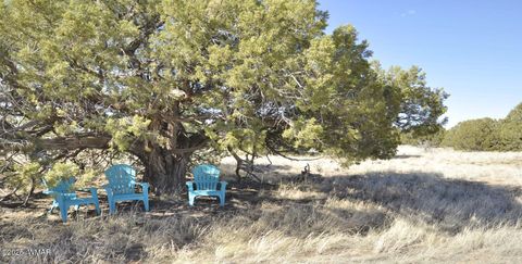 Tiny photo for 12 County Rd N8543, Concho, AZ 85924 (MLS # 257007)