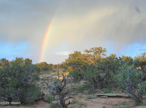 Tiny photo for 12 County Rd N8543, Concho, AZ 85924 (MLS # 257007)