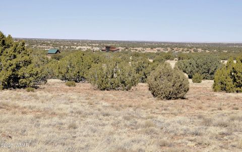 Tiny photo for 12 County Rd N8543, Concho, AZ 85924 (MLS # 257007)