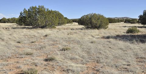 Tiny photo for 12 County Rd N8543, Concho, AZ 85924 (MLS # 257007)