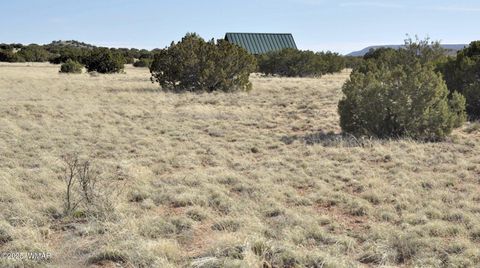Tiny photo for 12 County Rd N8543, Concho, AZ 85924 (MLS # 257007)