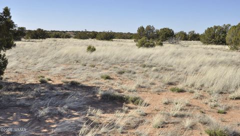 Tiny photo for 12 County Rd N8543, Concho, AZ 85924 (MLS # 257007)