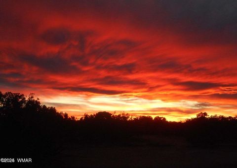 Tiny photo for 12 County Rd N8543, Concho, AZ 85924 (MLS # 257007)