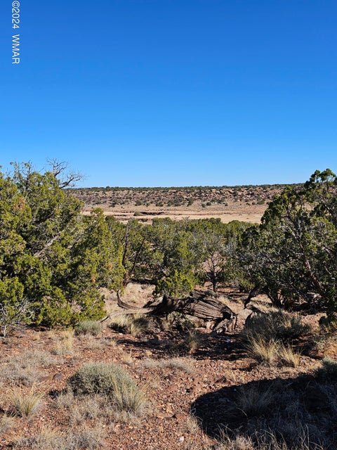 Photo of 45 N 8579, Concho, AZ 85924 (MLS # 263250)