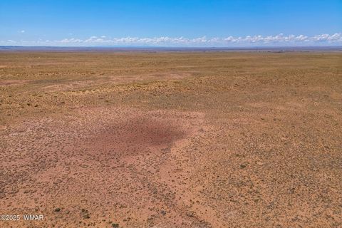 Tiny photo for TBD Ariz Rancho, 105-53-421, Holbrook, AZ 86025 (MLS # 256393)