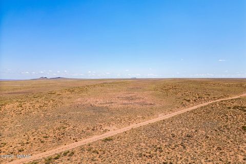 Tiny photo for TBD Ariz Rancho, 105-53-421, Holbrook, AZ 86025 (MLS # 256393)