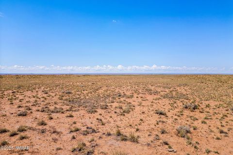 Tiny photo for TBD Ariz Rancho, 105-53-421, Holbrook, AZ 86025 (MLS # 256393)