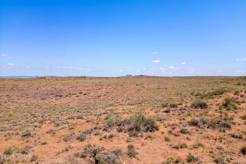 Tiny photo for TBD Ariz Rancho, 105-53-421, Holbrook, AZ 86025 (MLS # 256393)
