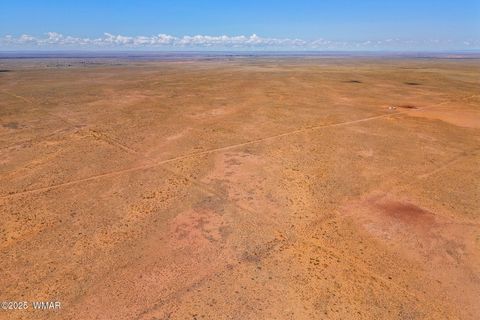 Tiny photo for TBD Ariz Rancho, 105-53-421, Holbrook, AZ 86025 (MLS # 256393)