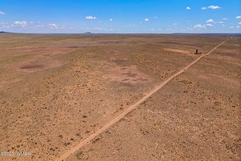 Tiny photo for TBD Ariz Rancho, 105-53-421, Holbrook, AZ 86025 (MLS # 256393)