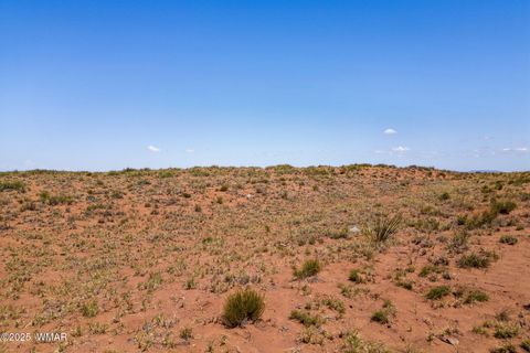 Tiny photo for TBD Ariz Rancho, 105-53-421, Holbrook, AZ 86025 (MLS # 256393)