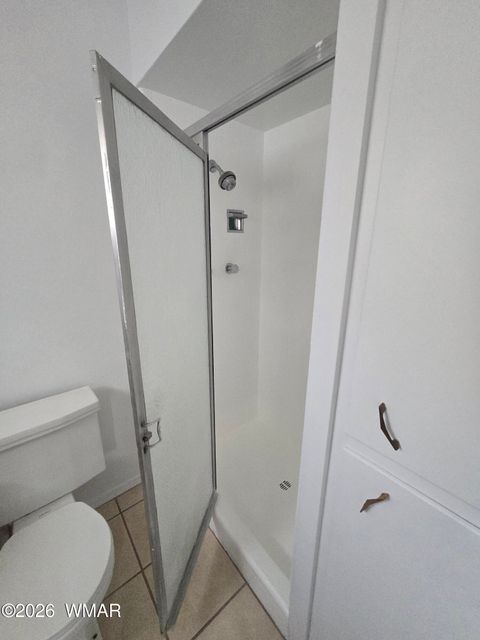 Tiny photo for 18 W 600 Street, Taylor, AZ 85939 (MLS # 259344)