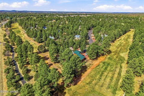 Tiny photo for 320 N 34th Drive, Show Low, AZ 85901 (MLS # 259817)