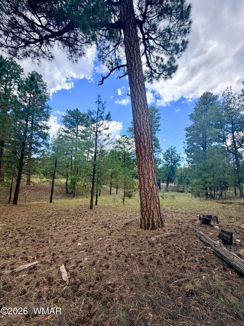 Tiny photo for 1601 Mule Deer Place, Happy Jack, AZ 86024 (MLS # 263305)