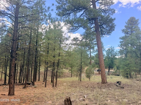 Tiny photo for 1601 Mule Deer Place, Happy Jack, AZ 86024 (MLS # 263305)
