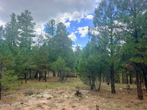 Tiny photo for 1601 Mule Deer Place, Happy Jack, AZ 86024 (MLS # 263305)
