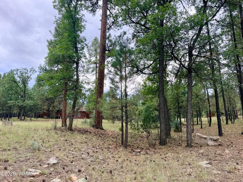 Tiny photo for 1601 Mule Deer Place, Happy Jack, AZ 86024 (MLS # 263305)