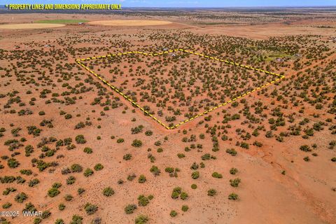 Tiny photo for 4 N County Road 5501, Concho, AZ 85924 (MLS # 256979)