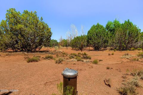 Tiny photo for 4 N County Road 5501, Concho, AZ 85924 (MLS # 256979)