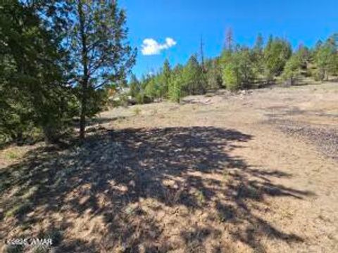 Tiny photo for 3326 Black Canyon Road, Heber, AZ 85928 (MLS # 255937)