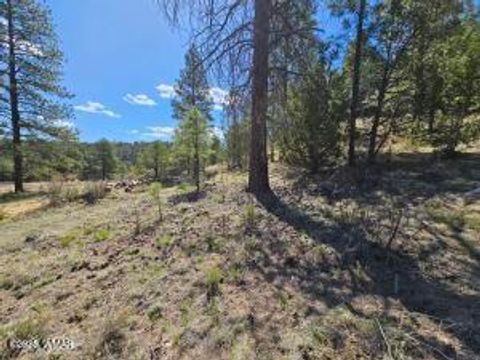Tiny photo for 3326 Black Canyon Road, Heber, AZ 85928 (MLS # 255937)