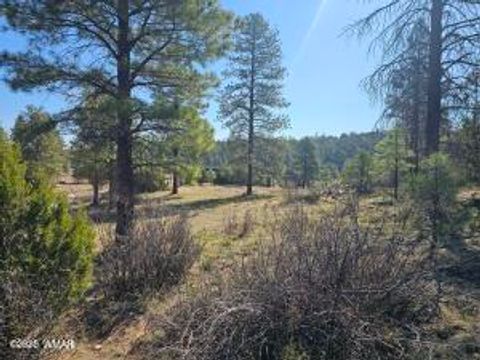 Tiny photo for 3326 Black Canyon Road, Heber, AZ 85928 (MLS # 255937)