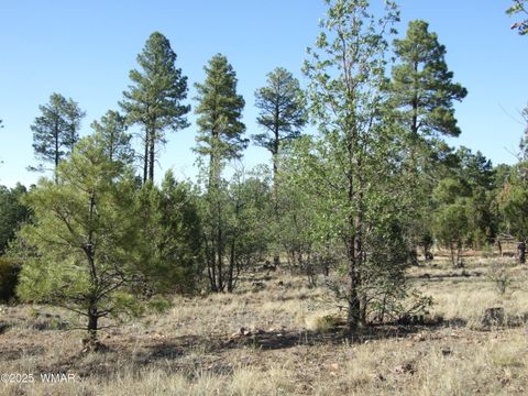 Tiny photo for Parcel D Lamb Dr, Pinedale, AZ 85934 (MLS # 257567)