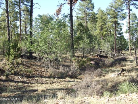 Tiny photo for Parcel D Lamb Dr, Pinedale, AZ 85934 (MLS # 257567)