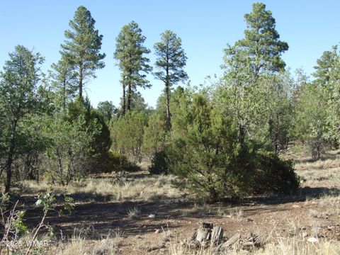 Tiny photo for Parcel D Lamb Dr, Pinedale, AZ 85934 (MLS # 257567)