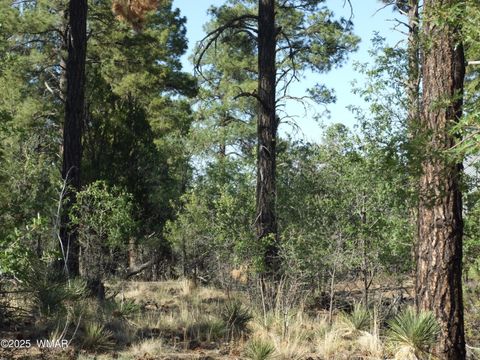 Tiny photo for Parcel D Lamb Dr, Pinedale, AZ 85934 (MLS # 257567)