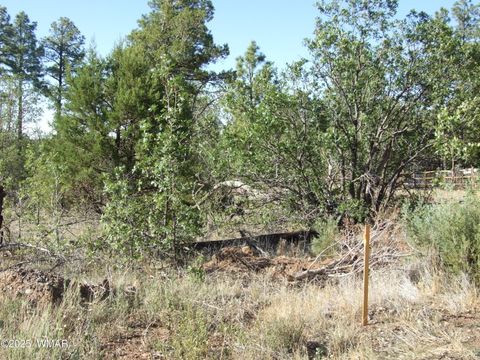 Tiny photo for Parcel D Lamb Dr, Pinedale, AZ 85934 (MLS # 257567)