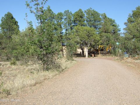 Tiny photo for Parcel D Lamb Dr, Pinedale, AZ 85934 (MLS # 257567)