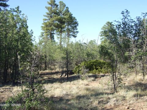 Photo of Parcel D Lamb Dr, Pinedale, AZ 85934 (MLS # 257567)