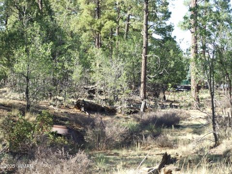 Tiny photo for Parcel D Lamb Dr, Pinedale, AZ 85934 (MLS # 257567)