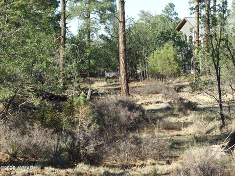 Tiny photo for Parcel D Lamb Dr, Pinedale, AZ 85934 (MLS # 257567)
