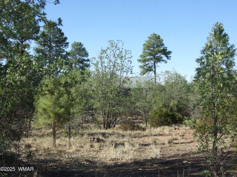Tiny photo for Parcel D Lamb Dr, Pinedale, AZ 85934 (MLS # 257567)