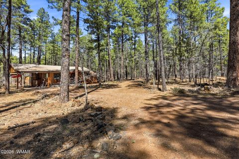 Tiny photo for 551 Monarch Circle, Lakeside, AZ 85929 (MLS # 260292)