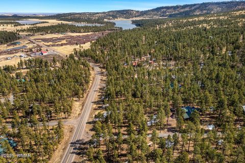 Tiny photo for 3 N1062, Greer, AZ 85927 (MLS # 255053)