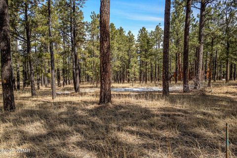 Photo of 3 N1062, Greer, AZ 85927 (MLS # 255053)