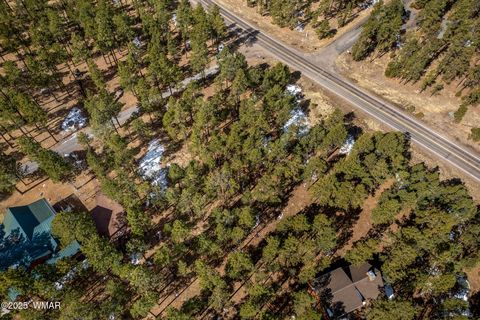 Tiny photo for 3 N1062, Greer, AZ 85927 (MLS # 255053)