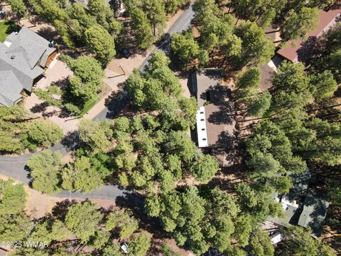Tiny photo for 3563 Bluegill Drive, Pinetop, AZ 85935 (MLS # 257548)
