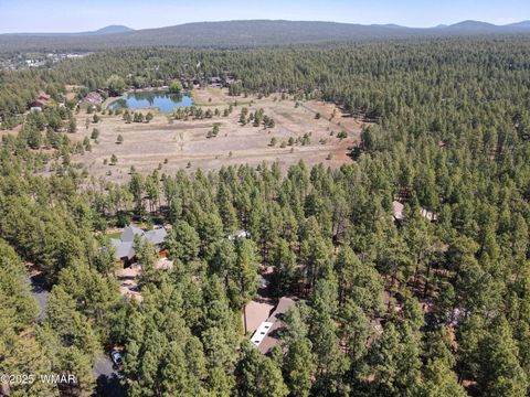 Tiny photo for 3563 Bluegill Drive, Pinetop, AZ 85935 (MLS # 257548)