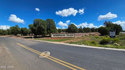 Tiny photo for 4790/4800 W Mountain Hollow Loop, Show Low, AZ 85901 (MLS # 258806)