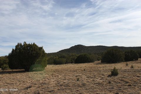 Tiny photo for 45 County Road 3035, Concho, AZ 85924 (MLS # 259082)