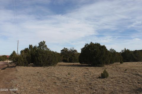 Tiny photo for 45 County Road 3035, Concho, AZ 85924 (MLS # 259082)